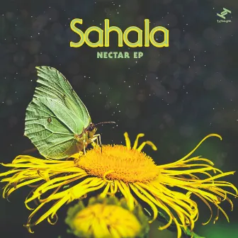 Nectar by Strategy