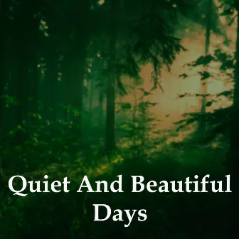 Quiet and Beautiful Days by Robert Anton Strobel