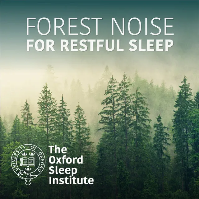 Forest Noise for Restful Sleep