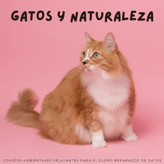 Gatos Y Naturaleza: Sonidos Ambientales Relajantes Para El Sueño Reparador De Gatos by Naturaleza y Sonidos Fondos