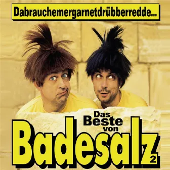 Dabrauchemergarnetdrübberredde - Das Beste von Badesalz 2 by Badesalz