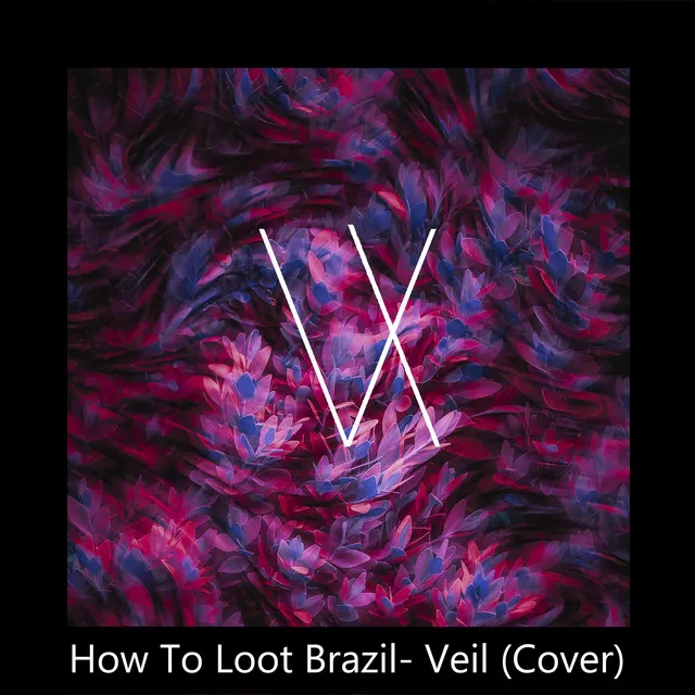 Veil - Cover