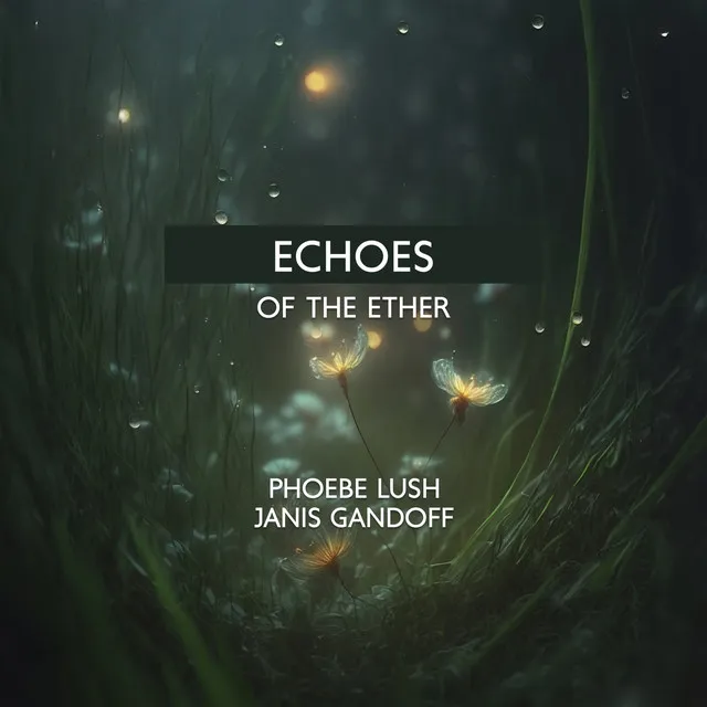 Echoes of the Ether