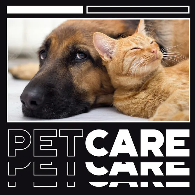 Pet Care - Nature Music for Relaxation and Wellness for Pets