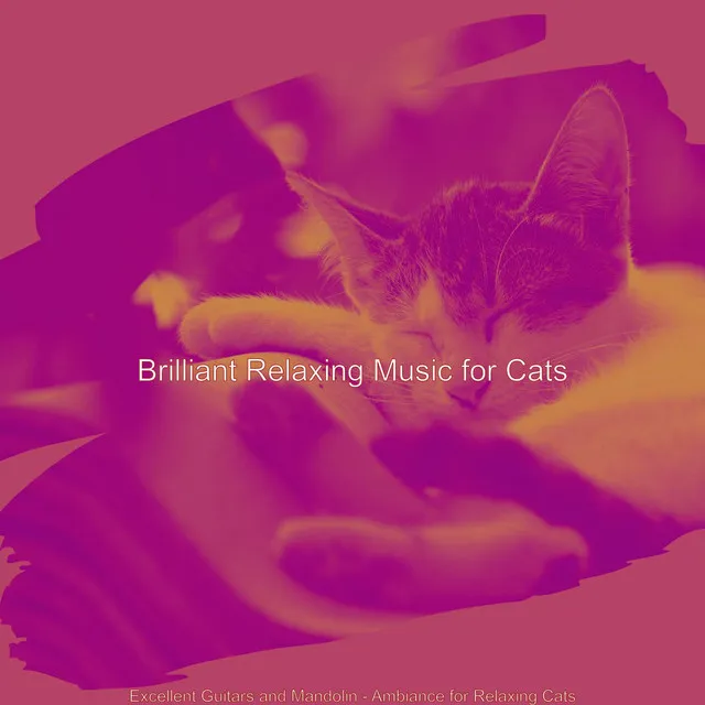 Excellent Guitars and Mandolin - Ambiance for Relaxing Cats