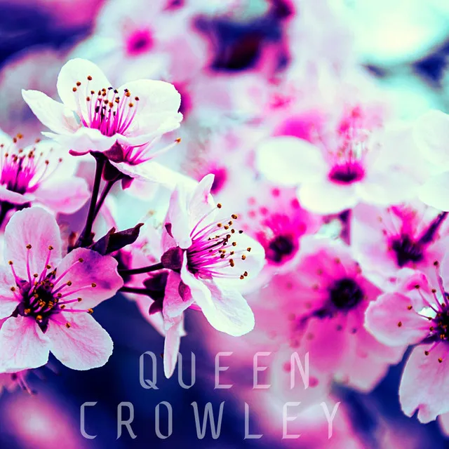 QUEEN CROWLEY