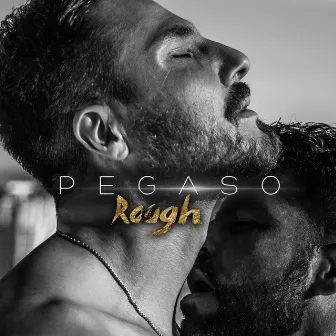 Rough by PEGASO