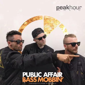 Bass Mobbin' by Public Affair