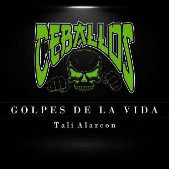 Golpes de la Vida (Team Ceballos) by Tali Alarcon