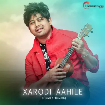 Xarodi Aahile (Slowed+Reverb) by Mandeep Kumar