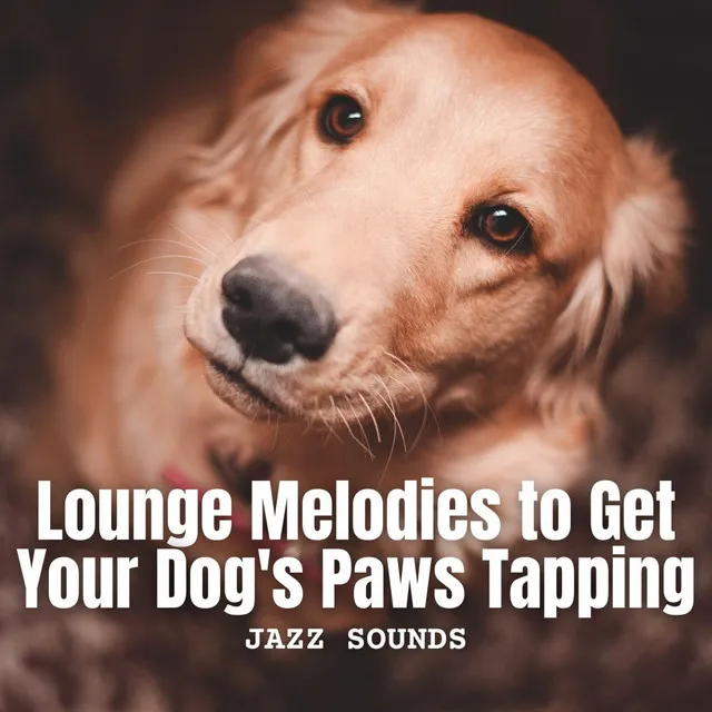 Jazz Sounds: Lounge Melodies to Get Your Dog's Paws Tapping