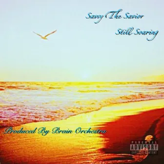 Still Soaring by Savvy the Savior