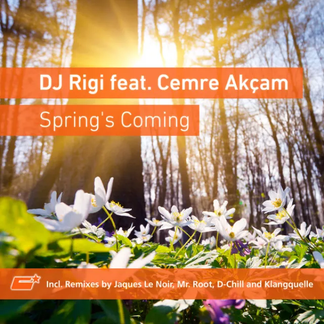 Spring's Coming - Original Mix