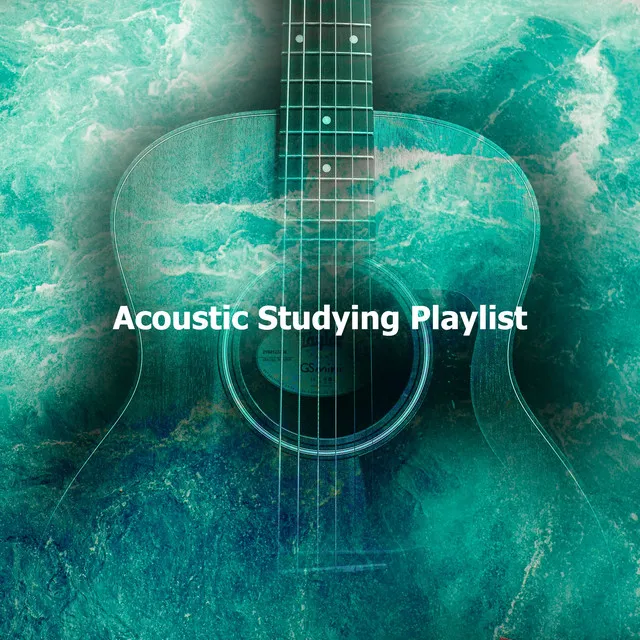 Acoustic Study Music Playlists