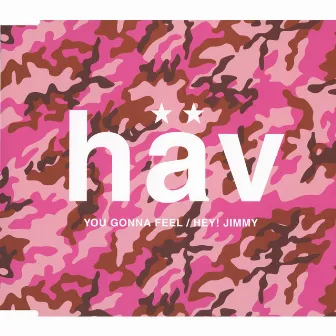 You Gonna Feel by Hav