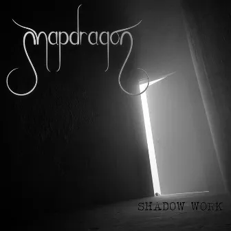 Shadow Work by Snapdragon