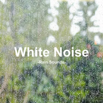 Rain Sound (Test, Concentration, Study, White Noise, Sleep, Mental and Physical Stability, Bonfire Sound, Rain) by ASMR White Noise