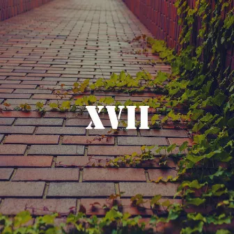 XVII by Reclaimed