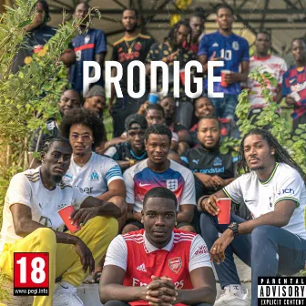 Prodige by Linho