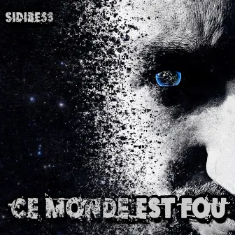 Ce monde est fou by Sidibess