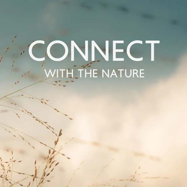 Connect Whit The Nature