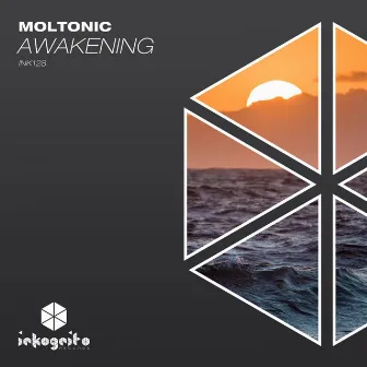 Awakening by Moltonic