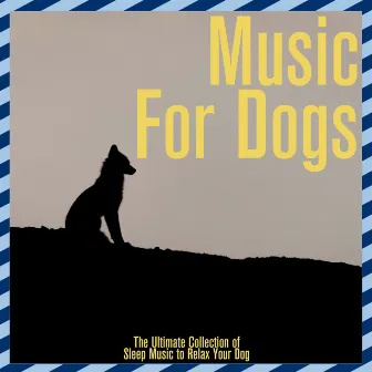 The Ultimate Collection of Sleep Music to Relax Your Dog by Dog Music