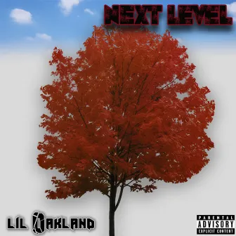 Next Level by Lil Oakland