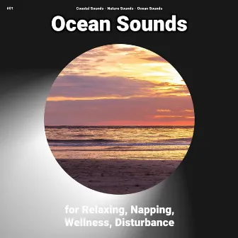 #01 Ocean Sounds for Relaxing, Napping, Wellness, Disturbance by Coastal Sounds