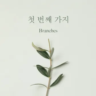 First branch by Branches