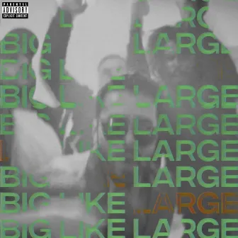 BIG LIKE LARGE by Rozeo