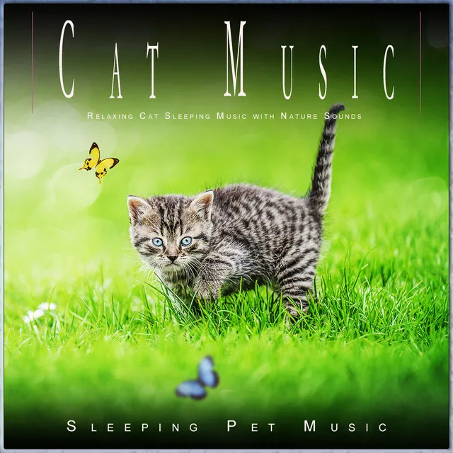 Sleeping Pet Music