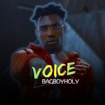 Voice by BagBoyHoly