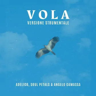 Vola (Versione Strumentale) by Adelico