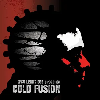 Cold Fusion by Lenny Dee