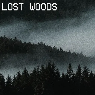 Lost Woods by Strange Tamer