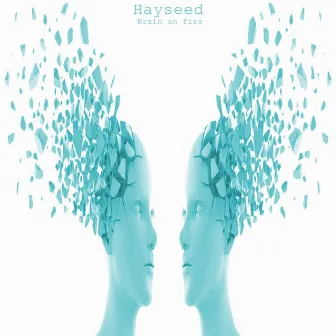 Brain on Fire by Hayseed