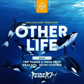 Other Life by Reiser Seven