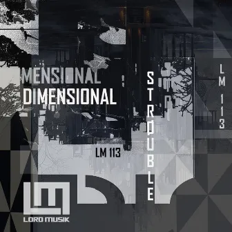 Dimensional by T.K.N.Z