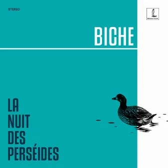 La Nuit des Perséides by Biche