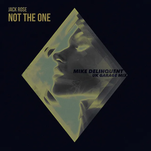 Not The One - Mike Delinquent UK Garage Remix