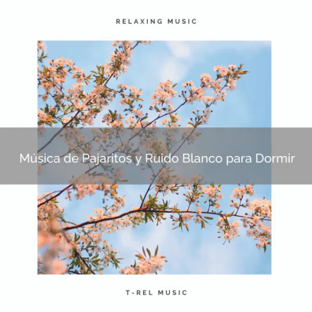 Música de Pajaritos y Ruido Blanco para Dormir