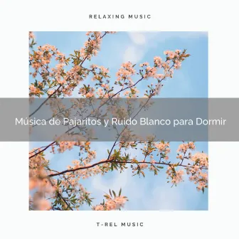 Música de Pajaritos y Ruido Blanco para Dormir by Ruído De Colores Para Bebes