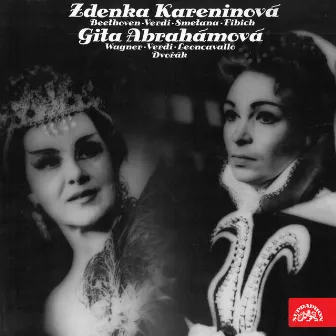 Beethoven, Verdi, Smetana, Fibich, Wagner, Leoncavallo, Dvořák by Zdenka Kareninová