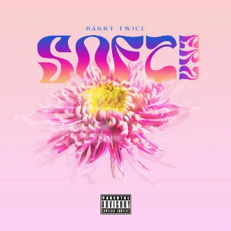 Soft Era by Barry Twice