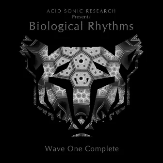 Biological Rhythms: Wave One Complete by Kataconda