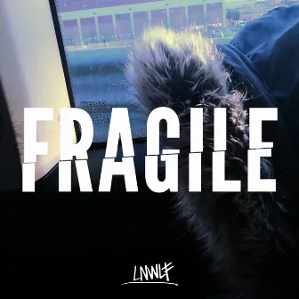 Fragile by IAMLNWLF