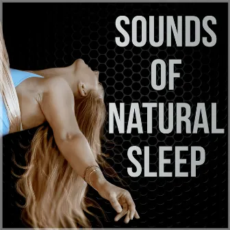 Sounds of Natural Sleep – Serenity Music, Nature Sounds, Insomnia Cure, Music Therapy, Sleep Music, Massage Therapy, Yoga Music, Relax by Better Sleep Oasis