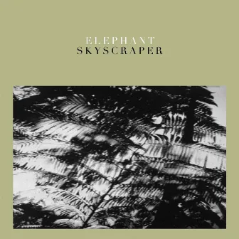 Skyscraper - Single by Elephant