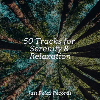 50 Tracks for Serenity & Relaxation by Sonidos De Lluvia y Tormentas